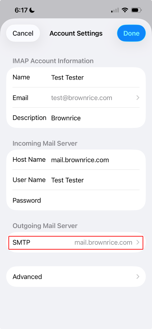 Outgoing Mail Server SMTP mail.brownrice.com